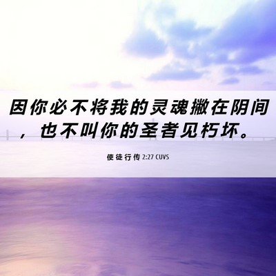 Picture 06 - 使 徒 行 传 2:27 CUVS - 因 你 必 不 将 我 的 灵 魂 撇 在 阴 - Bible Verse Picture