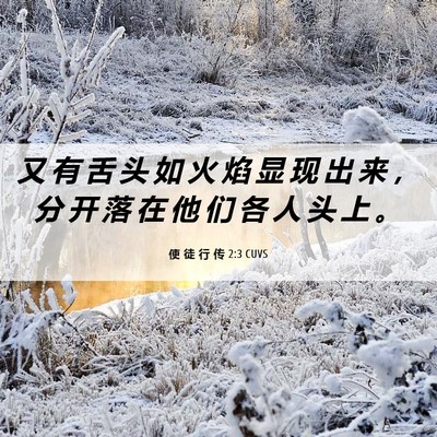 Picture 06 - 使 徒 行 传 2:3 CUVS - 又 有 舌 头 如 火 焰 显 现 出 来 ， - Bible Verse Picture