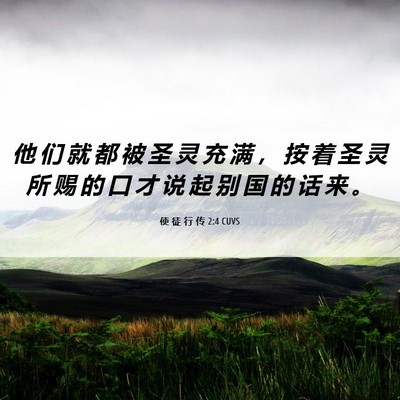 Picture 06 - 使 徒 行 传 2:4 CUVS - 他 们 就 都 被 圣 灵 充 满 ， 按 着 - Bible Verse Picture