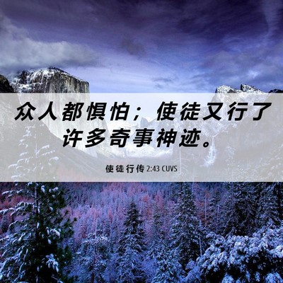 Picture 06 - 使 徒 行 传 2:43 CUVS - 众 人 都 惧 怕 ； 使 徒 又 行 了 许 - Bible Verse Picture