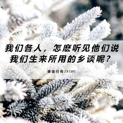 Picture 06 - 使 徒 行 传 2:8 CUVS - 我 们 各 人 ， 怎 麽 听 见 他 们 说 - Bible Verse Picture
