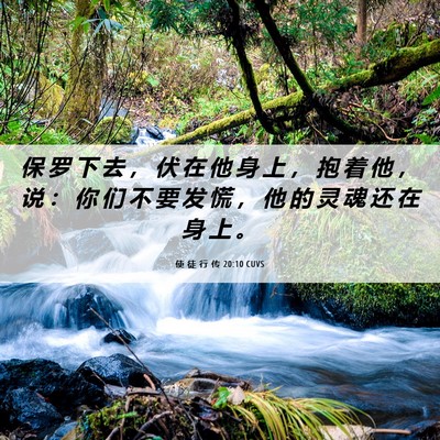 Picture 06 - 使 徒 行 传 20:10 CUVS - 保 罗 下 去 ， 伏 在 他 身 上 ， 抱 - Bible Verse Picture
