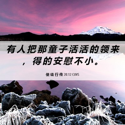 Picture 06 - 使 徒 行 传 20:12 CUVS - 有 人 把 那 童 子 活 活 的 领 来 ， - Bible Verse Picture