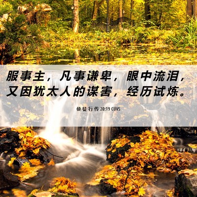 Picture 06 - 使 徒 行 传 20:19 CUVS - 服 事 主 ， 凡 事 谦 卑 ， 眼 中 流 - Bible Verse Picture