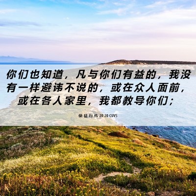 Picture 06 - 使 徒 行 传 20:20 CUVS - 你 们 也 知 道 ， 凡 与 你 们 有 益 - Bible Verse Picture
