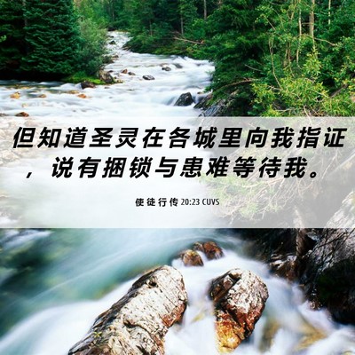 Picture 06 - 使 徒 行 传 20:23 CUVS - 但 知 道 圣 灵 在 各 城 里 向 我 指 - Bible Verse Picture