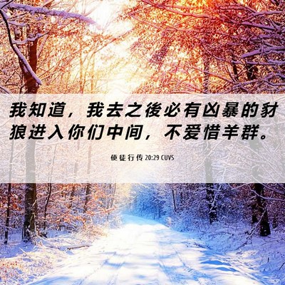 Picture 06 - 使 徒 行 传 20:29 CUVS - 我 知 道 ， 我 去 之 後 必 有 凶 暴 - Bible Verse Picture