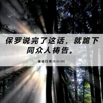 Picture 06 - 使 徒 行 传 20:36 CUVS - 保 罗 说 完 了 这 话 ， 就 跪 下 同 - Bible Verse Picture