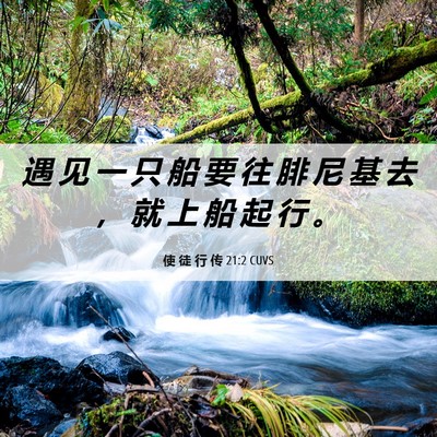 Picture 06 - 使 徒 行 传 21:2 CUVS - 遇 见 一 只 船 要 往 腓 尼 基 去 ， - Bible Verse Picture