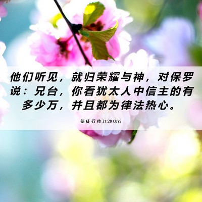 Picture 06 - 使 徒 行 传 21:20 CUVS - 他 们 听 见 ， 就 归 荣 耀 与 神 ， - Bible Verse Picture
