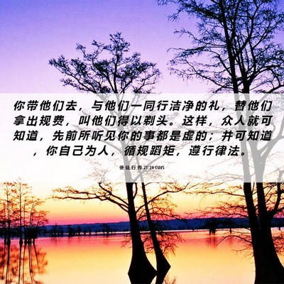 Picture 06 - 使 徒 行 传 21:24 CUVS - 你 带 他 们 去 ， 与 他 们 一 同 行 - Bible Verse Picture