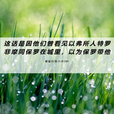 Picture 06 - 使 徒 行 传 21:29 CUVS - 这 话 是 因 他 们 曾 看 见 以 弗 所 - Bible Verse Picture