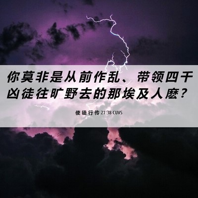 Picture 06 - 使 徒 行 传 21:38 CUVS - 你 莫 非 是 从 前 作 乱 、 带 领 四 - Bible Verse Picture