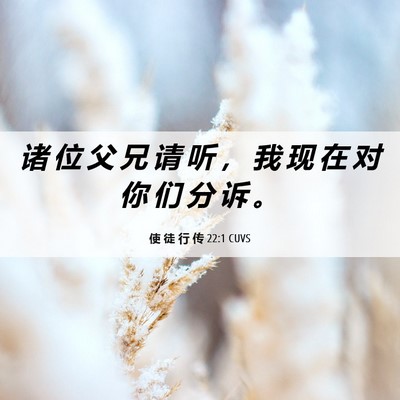Picture 06 - 使 徒 行 传 22:1 CUVS - 诸 位 父 兄 请 听 ， 我 现 在 对 你 - Bible Verse Picture