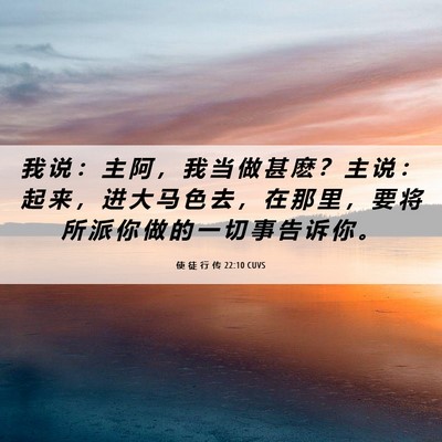 Picture 06 - 使 徒 行 传 22:10 CUVS - 我 说 ： 主 阿 ， 我 当 做 甚 麽 ？ - Bible Verse Picture