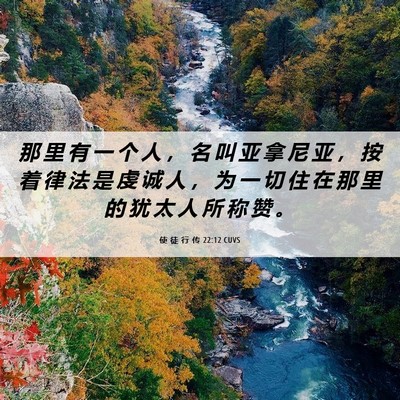Picture 06 - 使 徒 行 传 22:12 CUVS - 那 里 有 一 个 人 ， 名 叫 亚 拿 尼 - Bible Verse Picture