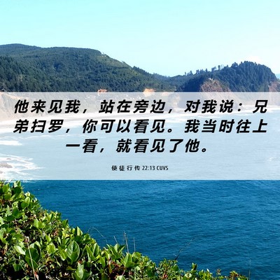 Picture 06 - 使 徒 行 传 22:13 CUVS - 他 来 见 我 ， 站 在 旁 边 ， 对 我 - Bible Verse Picture