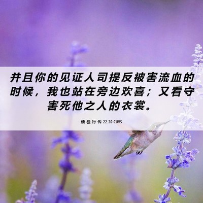 Picture 06 - 使 徒 行 传 22:20 CUVS - 并 且 你 的 见 证 人 司 提 反 被 害 - Bible Verse Picture