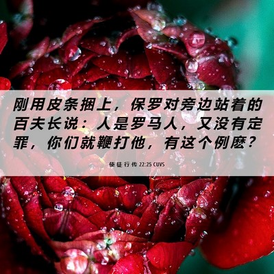Picture 06 - 使 徒 行 传 22:25 CUVS - 刚 用 皮 条 捆 上 ， 保 罗 对 旁 边 - Bible Verse Picture