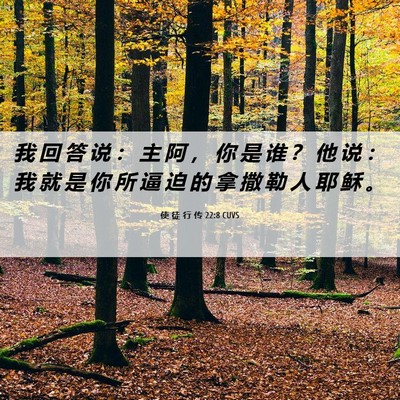 Picture 06 - 使 徒 行 传 22:8 CUVS - 我 回 答 说 ： 主 阿 ， 你 是 谁 ？ - Bible Verse Picture