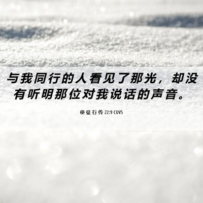 Picture 06 - 使 徒 行 传 22:9 CUVS - 与 我 同 行 的 人 看 见 了 那 光 ， - Bible Verse Picture