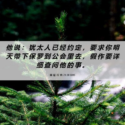 Picture 06 - 使 徒 行 传 23:20 CUVS - 他 说 ： 犹 太 人 已 经 约 定 ， 要 - Bible Verse Picture