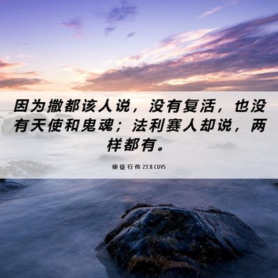 Picture 06 - 使 徒 行 传 23:8 CUVS - 因 为 撒 都 该 人 说 ， 没 有 复 活 - Bible Verse Picture