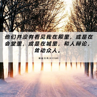 Picture 06 - 使 徒 行 传 24:12 CUVS - 他 们 并 没 有 看 见 我 在 殿 里 ， - Bible Verse Picture