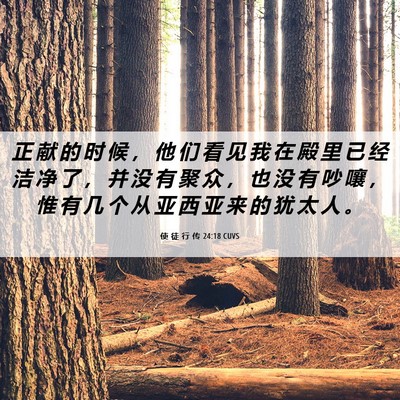 Picture 06 - 使 徒 行 传 24:18 CUVS - 正 献 的 时 候 ， 他 们 看 见 我 在 - Bible Verse Picture