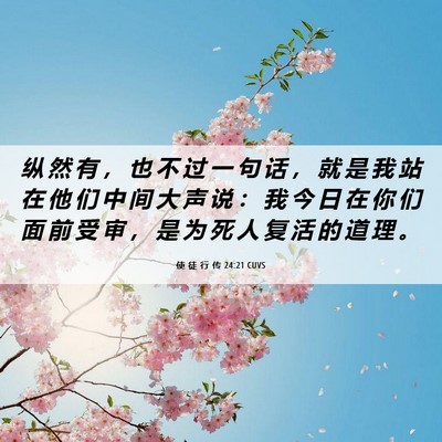 Picture 06 - 使 徒 行 传 24:21 CUVS - 纵 然 有 ， 也 不 过 一 句 话 ， 就 - Bible Verse Picture