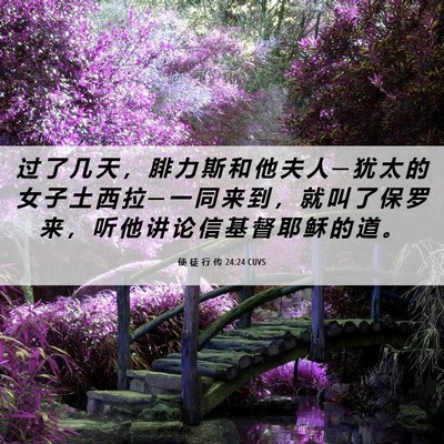 Picture 06 - 使 徒 行 传 24:24 CUVS - 过 了 几 天 ， 腓 力 斯 和 他 夫 人 - Bible Verse Picture