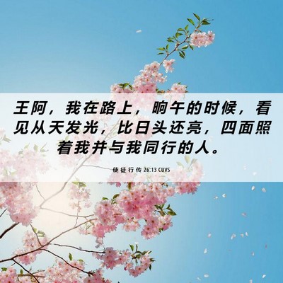Picture 06 - 使 徒 行 传 26:13 CUVS - 王 阿 ， 我 在 路 上 ， 晌 午 的 时 - Bible Verse Picture