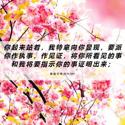 Picture 06 - 使 徒 行 传 26:16 CUVS - 你 起 来 站 着 ， 我 特 意 向 你 显 - Bible Verse Picture