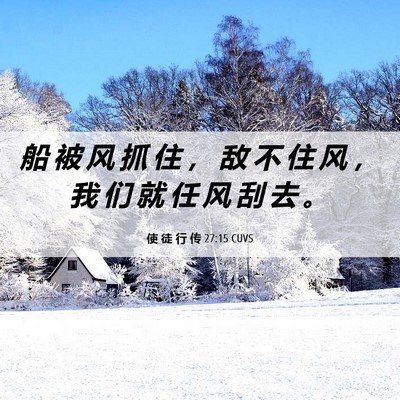 Picture 06 - 使 徒 行 传 27:15 CUVS - 船 被 风 抓 住 ， 敌 不 住 风 ， 我 - Bible Verse Picture