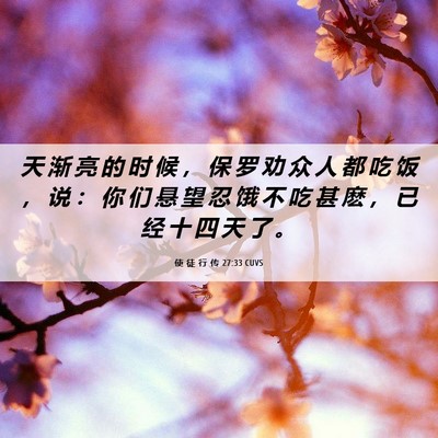 Picture 06 - 使 徒 行 传 27:33 CUVS - 天 渐 亮 的 时 候 ， 保 罗 劝 众 人 - Bible Verse Picture