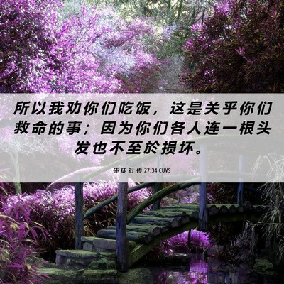 Picture 06 - 使 徒 行 传 27:34 CUVS - 所 以 我 劝 你 们 吃 饭 ， 这 是 关 - Bible Verse Picture