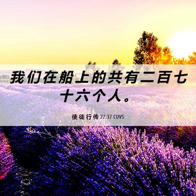 Picture 06 - 使 徒 行 传 27:37 CUVS - 我 们 在 船 上 的 共 有 二 百 七 十 - Bible Verse Picture