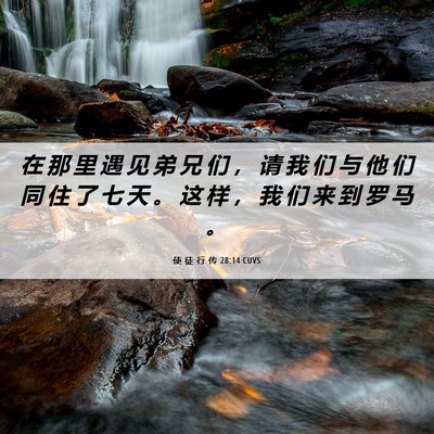 Picture 06 - 使 徒 行 传 28:14 CUVS - 在 那 里 遇 见 弟 兄 们 ， 请 我 们 - Bible Verse Picture