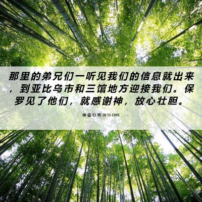Picture 06 - 使 徒 行 传 28:15 CUVS - 那 里 的 弟 兄 们 一 听 见 我 们 的 - Bible Verse Picture