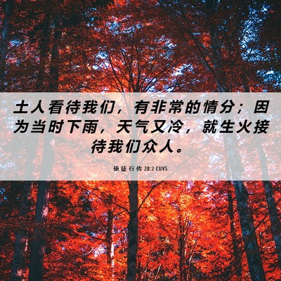 Picture 06 - 使 徒 行 传 28:2 CUVS - 土 人 看 待 我 们 ， 有 非 常 的 情 - Bible Verse Picture