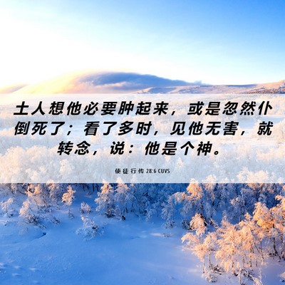 Picture 06 - 使 徒 行 传 28:6 CUVS - 土 人 想 他 必 要 肿 起 来 ， 或 是 - Bible Verse Picture