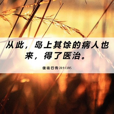 Picture 06 - 使 徒 行 传 28:9 CUVS - 从 此 ， 岛 上 其 馀 的 病 人 也 来 - Bible Verse Picture