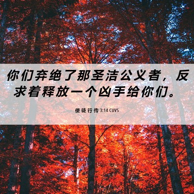 Picture 06 - 使 徒 行 传 3:14 CUVS - 你 们 弃 绝 了 那 圣 洁 公 义 者 ， - Bible Verse Picture