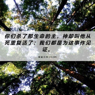 Picture 06 - 使 徒 行 传 3:15 CUVS - 你 们 杀 了 那 生 命 的 主 ， 神 却 - Bible Verse Picture