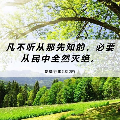 Picture 06 - 使 徒 行 传 3:23 CUVS - 凡 不 听 从 那 先 知 的 ， 必 要 从 - Bible Verse Picture