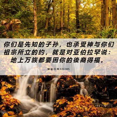 Picture 06 - 使 徒 行 传 3:25 CUVS - 你 们 是 先 知 的 子 孙 ， 也 承 受 - Bible Verse Picture