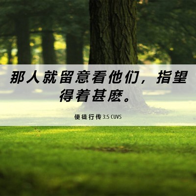 Picture 06 - 使 徒 行 传 3:5 CUVS - 那 人 就 留 意 看 他 们 ， 指 望 得 - Bible Verse Picture