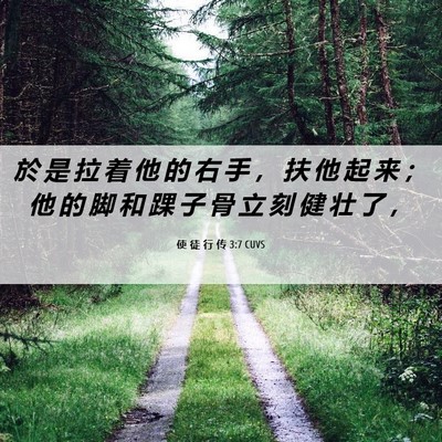 Picture 06 - 使 徒 行 传 3:7 CUVS - 於 是 拉 着 他 的 右 手 ， 扶 他 起 - Bible Verse Picture