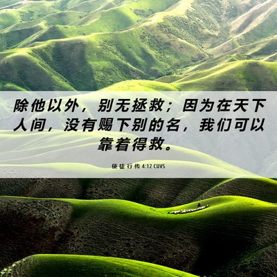 Picture 06 - 使 徒 行 传 4:12 CUVS - 除 他 以 外 ， 别 无 拯 救 ； 因 为 - Bible Verse Picture