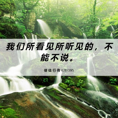 Picture 06 - 使 徒 行 传 4:20 CUVS - 我 们 所 看 见 所 听 见 的 ， 不 能 - Bible Verse Picture